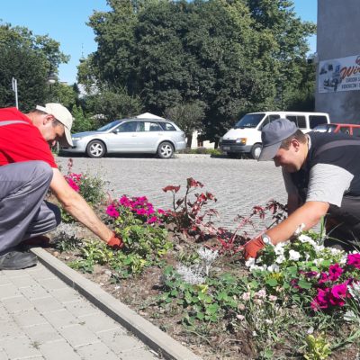 Osoby z NI sadzą kwiaty w Jarosławiu